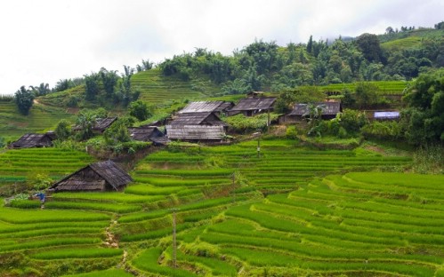 Sapa Active Adventure 3 Days 2 Nights by Day Bus (Overnight at Homestay)