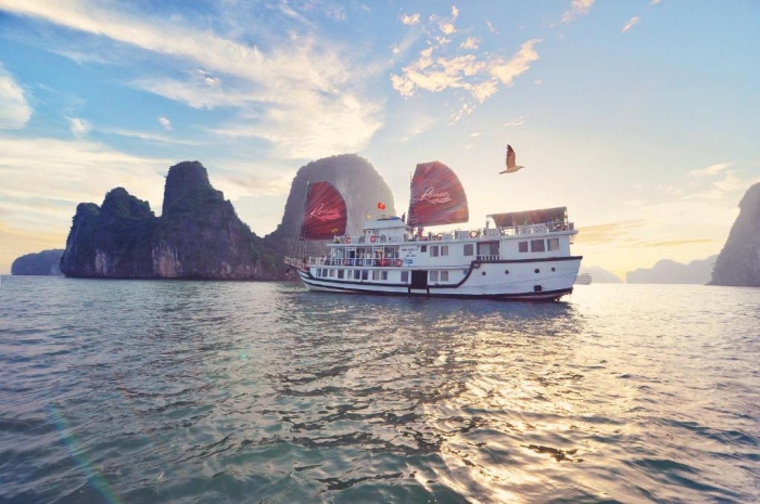 Ha Long Bay. - Bai Tu Long Bay With RENEA Cruise
